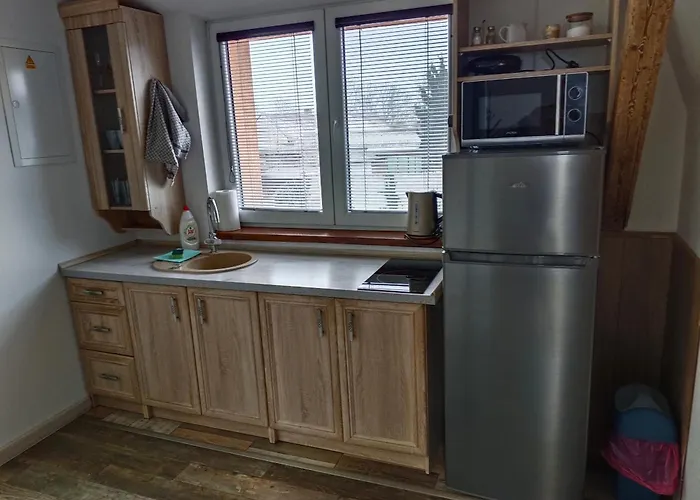 38 Apartment Opolany